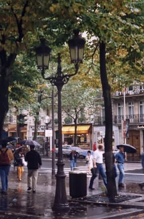 Парижский бульвар в дождь